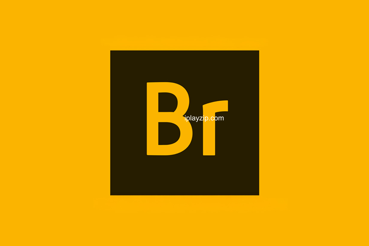 强大数字资产管理工具 Adobe Bridge 2025 v15.0.3 破解版