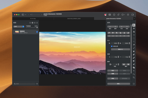 专业图像编辑工具 Pixelmator Pro v3.6.5 中文破解版 