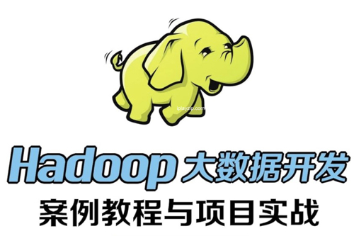 Hadoop 大数据实战项目开发视频课程