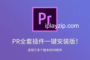 Premiere Pro 插件全套中文一键安装包 转场效果+字幕+磨皮+调色预设，支持 Win/Mac